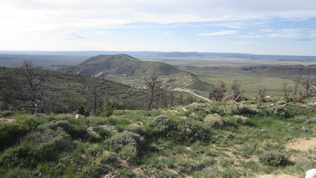 Sheep Mountain Project